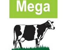 Mega